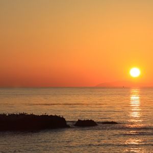 Meet your Posher, Karina